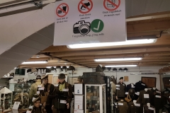 Ergens in Nederland (3)